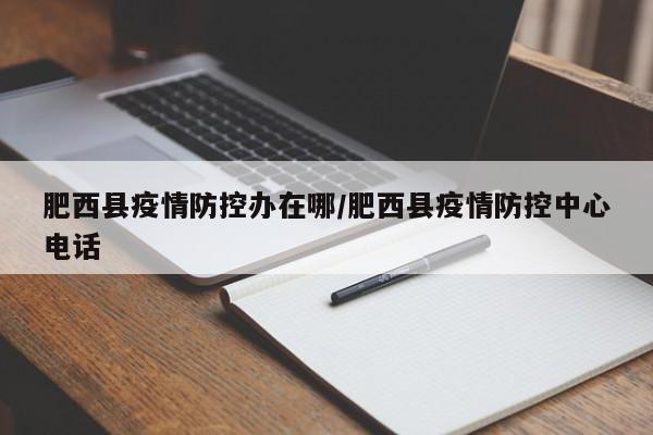 肥西县疫情防控办在哪/肥西县疫情防控中心电话
